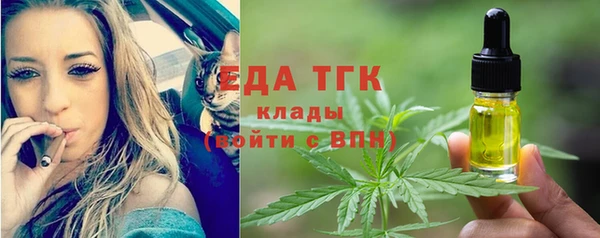 молекула духа Каменка