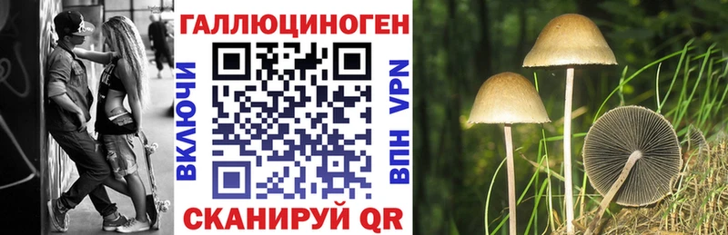 гидра маркетплейс  Гай  Галлюциногенные грибы ЛСД 