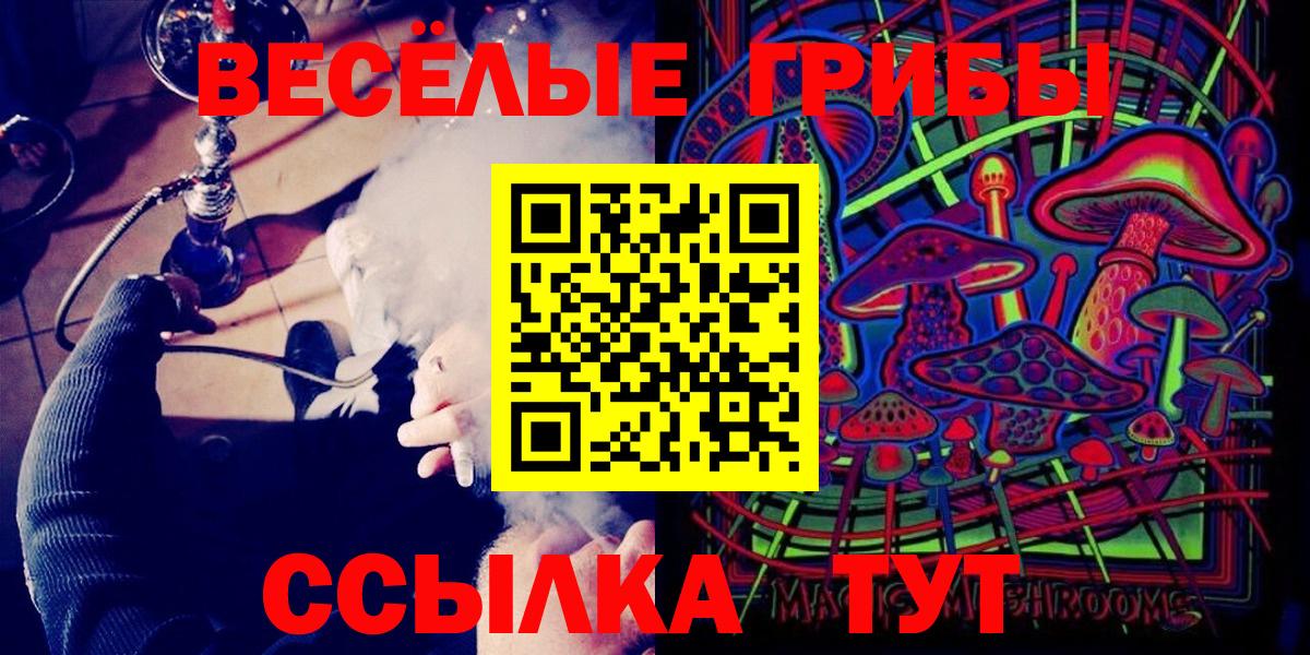 Галлюциногенные грибы Psilocybine cubensis  Вход с VPN  Гай 