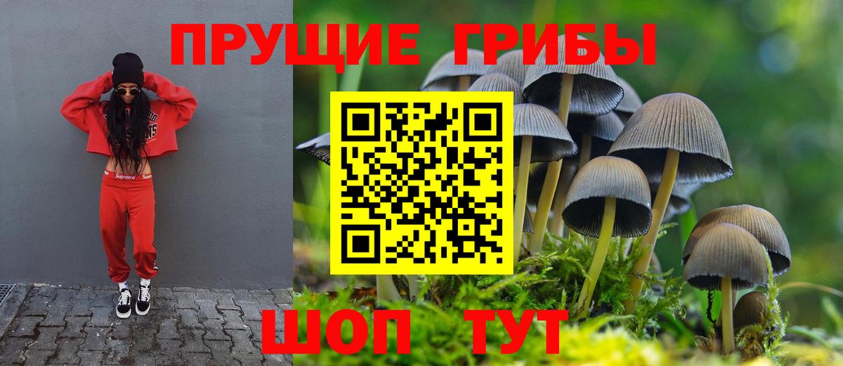 Псилоцибиновые грибы мицелий Гай